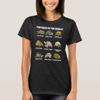 Tortoises Of The World Land Turtle Educational Ani