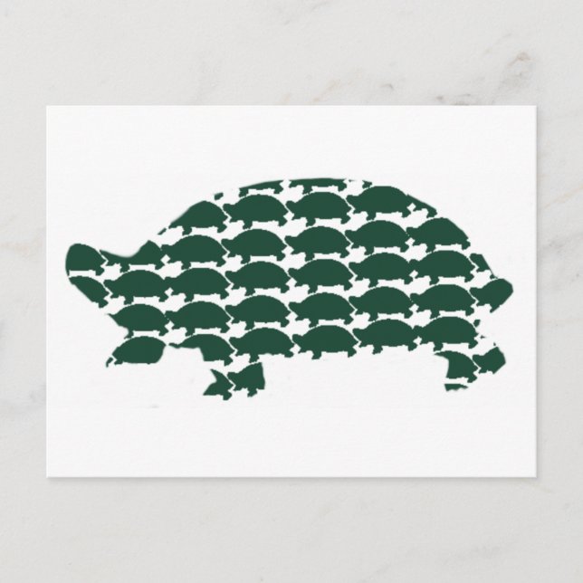 Tortoises Postcard (Front)