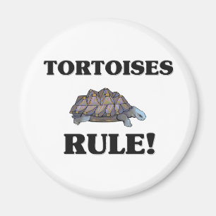 TORTOISES Rule! Magnet