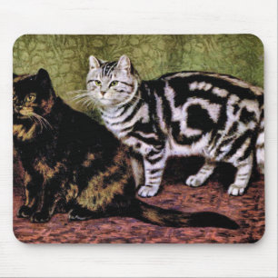 Tortoiseshell and Silver Tabby Cats Mouse Pad
