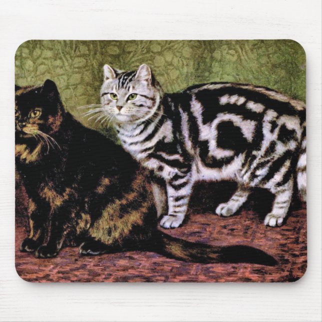 Tortoiseshell and Silver Tabby Cats Mouse Pad (Front)