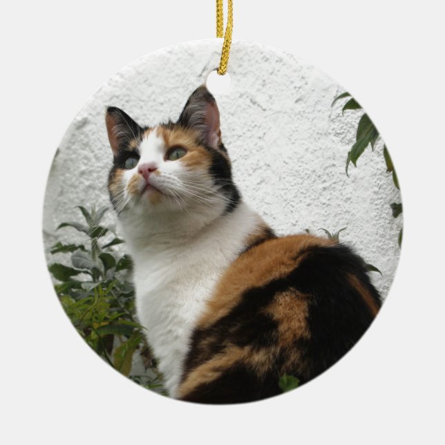 Tortoiseshell and White Cat Ceramic Ornament (Front)