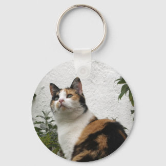 Tortoiseshell and White Cat Keychain