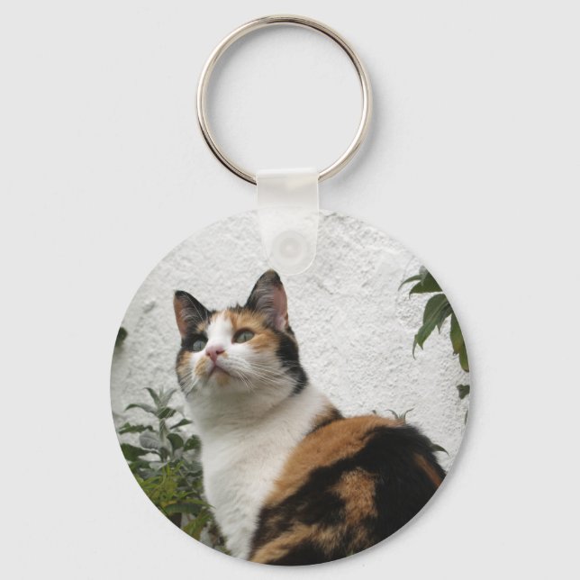 Tortoiseshell and White Cat Keychain (Front)