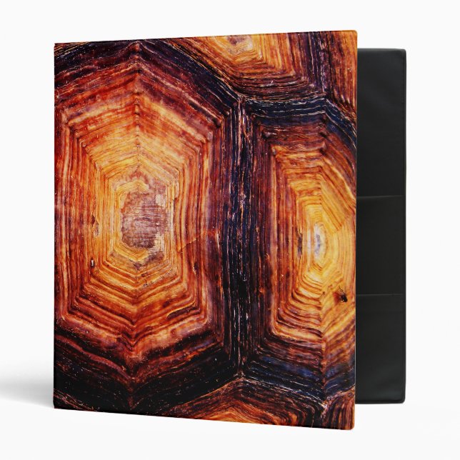 Tortoiseshell Binder (Front/Inside)