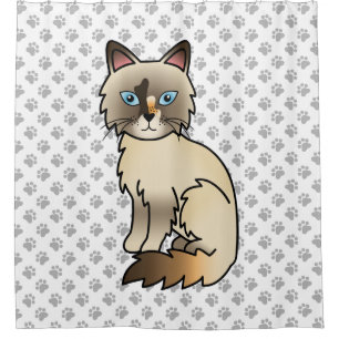 Tortoiseshell Birman / Ragdoll Cat & Paws