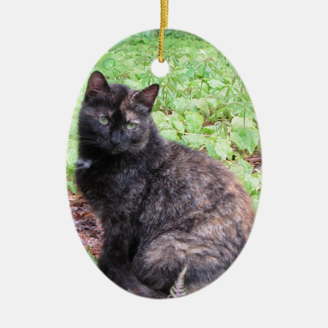 Tortoiseshell Black Cat Garden Ceramic Ornament (Front)