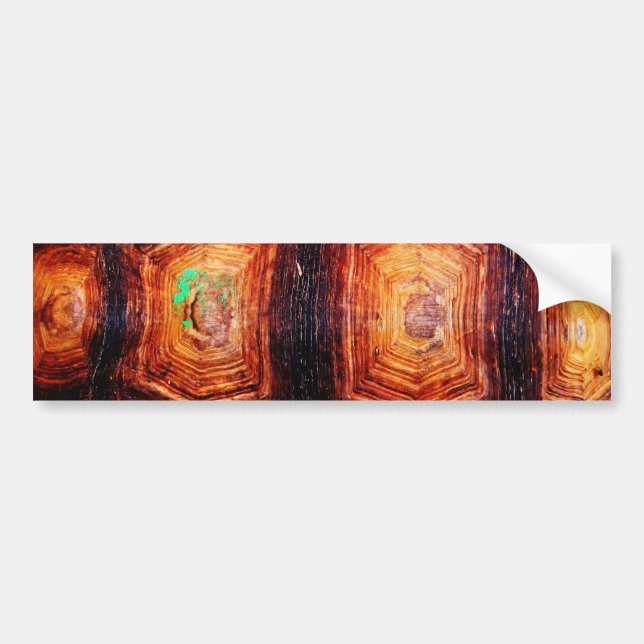 Tortoiseshell Bumper Sticker (Front)