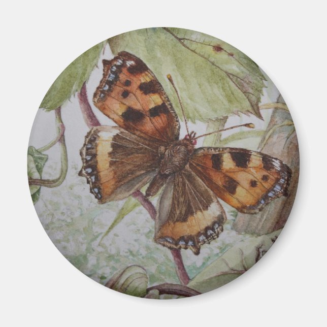Tortoiseshell butterfly magnet (Front)