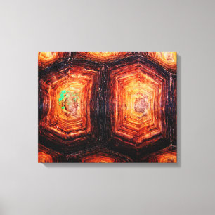 Tortoiseshell Canvas Print