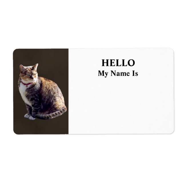 Tortoiseshell Cat (Front)