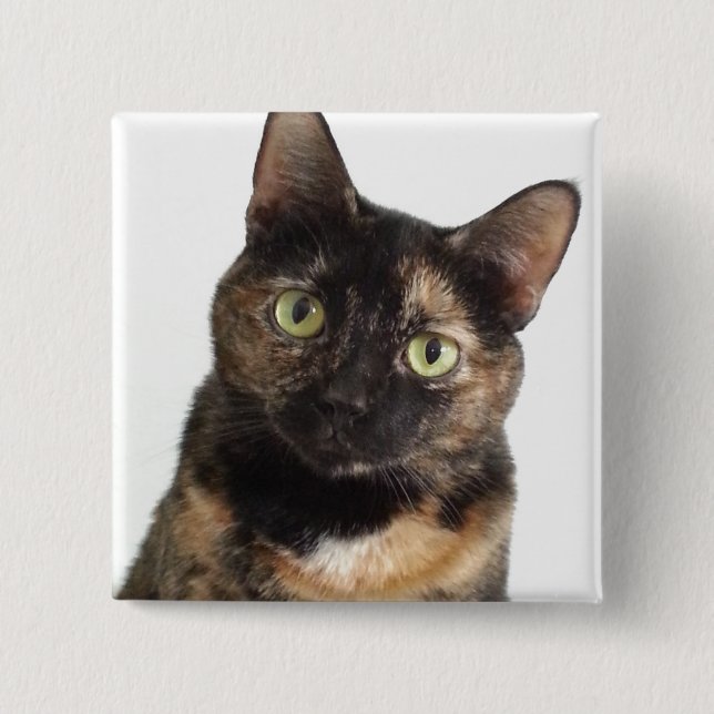 Tortoiseshell Cat 2 Inch Square Button (Front)