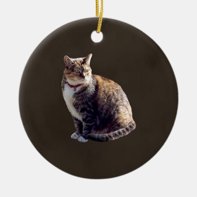 Tortoiseshell Cat Ceramic Ornament (Front)