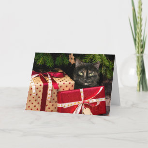 Tortoiseshell cat Christmas Holiday Card