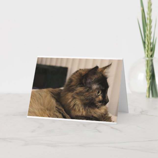 Tortoiseshell cat greeting card- blank inside card (Front)