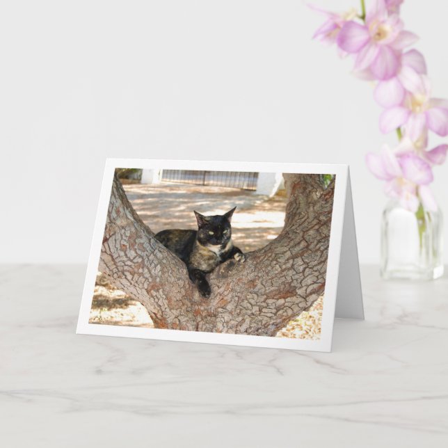 Tortoiseshell Cat in Tree Card (Orchid)