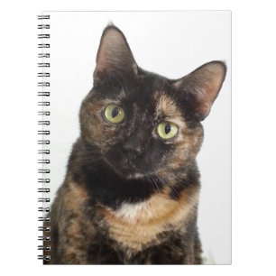 Tortoiseshell Cat Notebook