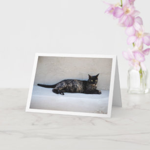 Tortoiseshell Cat Portrait Card