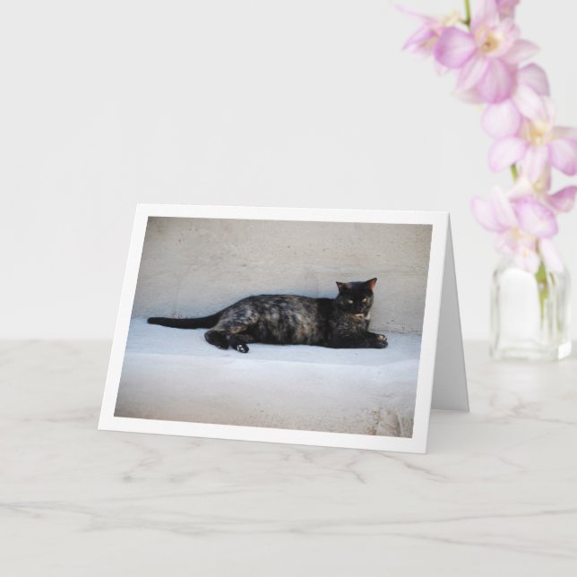 Tortoiseshell Cat Portrait Card (Orchid)