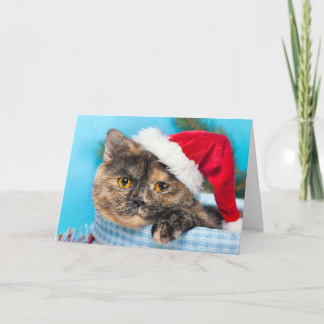 Tortoiseshell Cat Purr-fect Holiday Season (Front)