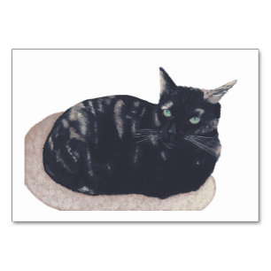 Tortoiseshell Cat Reading Flashcards for Adults Table Number