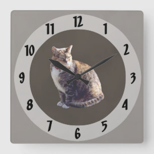 Tortoiseshell Cat Square Wall Clock