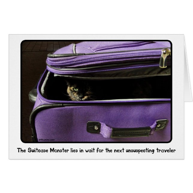 Tortoiseshell Cat/ Suitcase Monster (Front Horizontal)