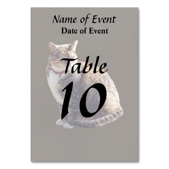 Tortoiseshell Cat Table Number (Front)