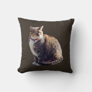 Tortoiseshell Cat Throw Pillow
