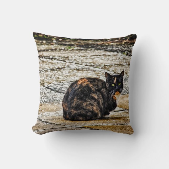Tortoiseshell Cat Throw Pillow (Front)