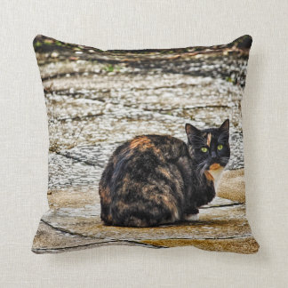 Tortoiseshell Cat Throw Pillow