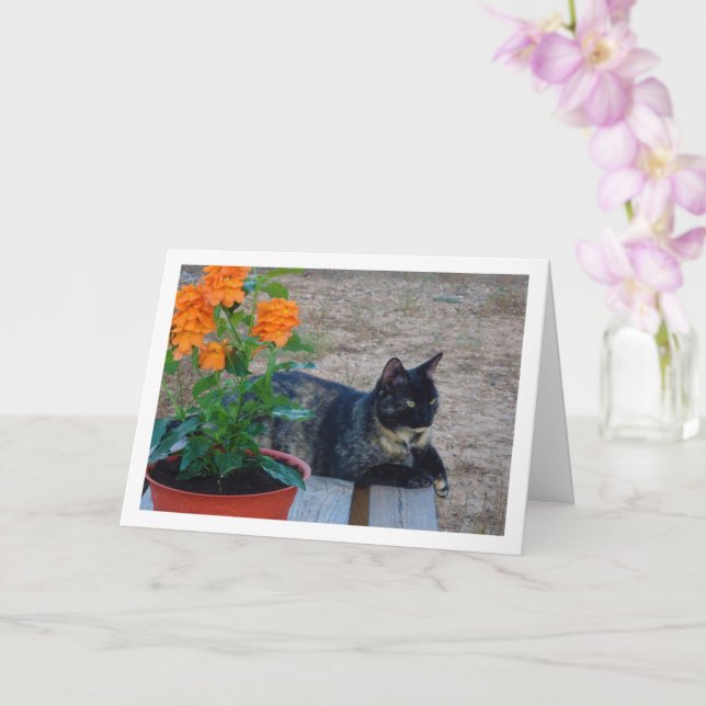 Tortoiseshell Cat with Firecracker Flowers Card (Orchid)