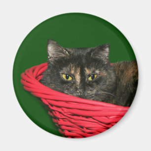 Tortoiseshell Christmas Magnet