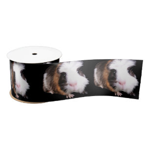 Tortoiseshell Guinea Pigs, Satin Ribbon