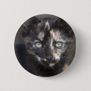 Tortoiseshell Kitten 2 Inch Round Button