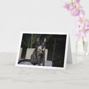 Tortoiseshell Kitten on Table Card