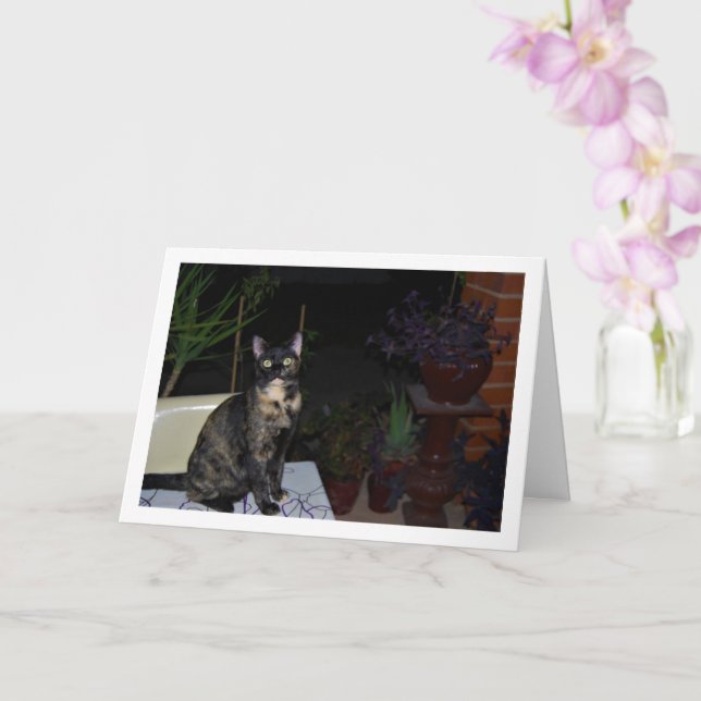 Tortoiseshell Kitten on Table Card (Orchid)