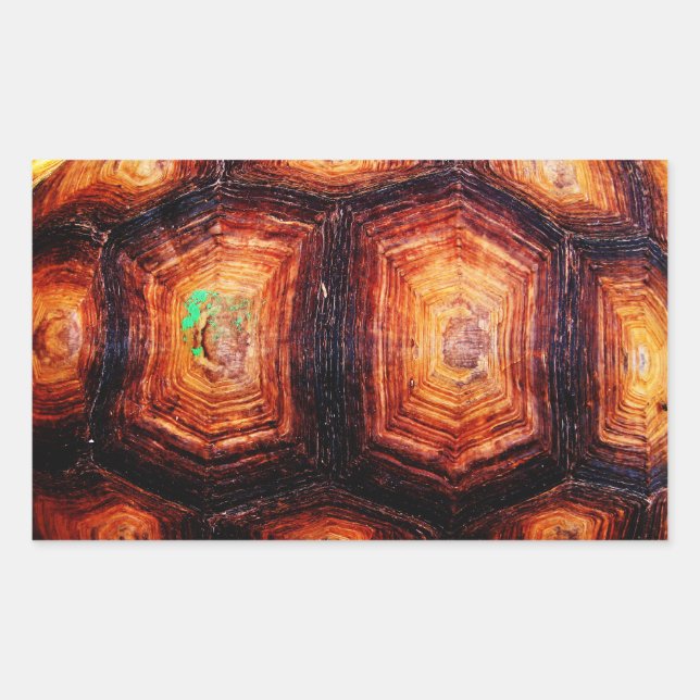 Tortoiseshell Sticker (Front)