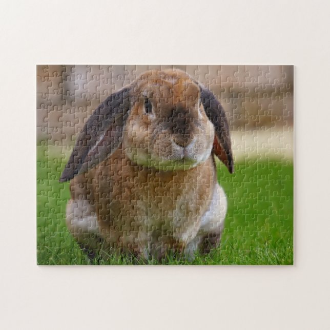 Tortoiseshell Velveteen  Holland Lop Bunny Rabbit Jigsaw Puzzle (Horizontal)