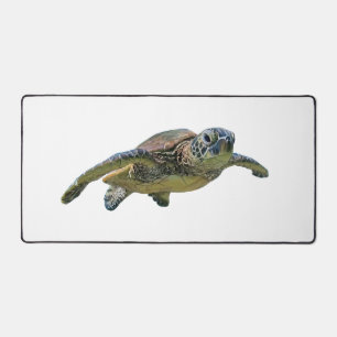 Tortue Copie Copie Copie Copie Copie Copie Copie C