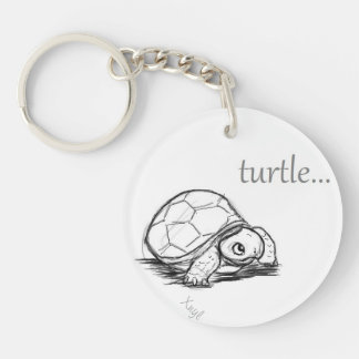 Tortue de bébé