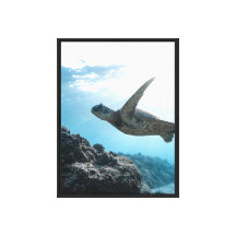 Tortue de mer impression sur toile tendue