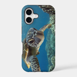 Tortue de mer verte hawaïenne
