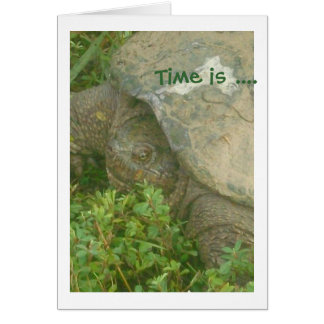 Tortue de temps