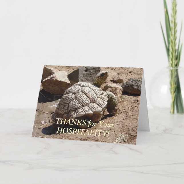 Tortue du désert - Merci d'accueil (Devant)