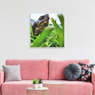 Tortue en toile gros plan