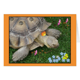 tortue et fleurs