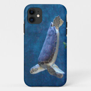 Tortue marine Secourue du Coque Fla Cell