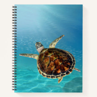Tortue nageant sous l'eau Carnet spirale