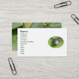 Tortue peinte bébé sur Lilypad Carte de visite
